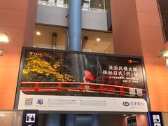 -关西机场 JR ticket office(Kansai Airport)