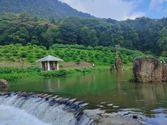 -广州市石门国家森林公园