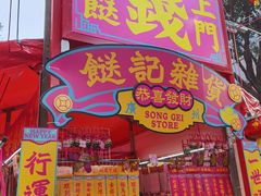 -越秀西湖花市(广州城市广场花卉店)