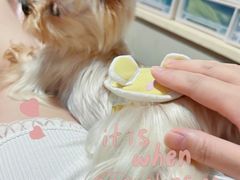 -粉小主·贵州酸汤牛肉粉(南京仙林金鹰店)