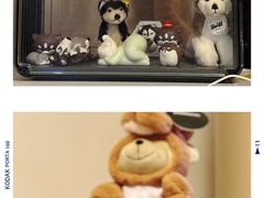 -达爱动物医院·犬猫分区·CT·复杂眼科(远洋山水分院)