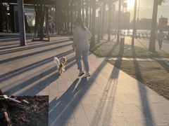 -申普宠物医院(总院)