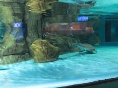 -常州海昌海洋探索馆