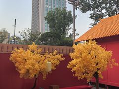 -龙湖杭州滨江天街