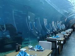 -海棠湾洲际-涛·海底餐厅·美人鱼·自助餐·海底隧道
