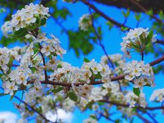 -丽江泸沽湖景区