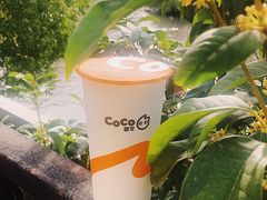 -CoCo都可(上海环球港店)