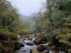 -龙苍沟森林公园