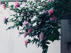 -前门烤鸭(江东中路店)