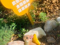 -欢乐松鼠谷