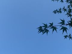 -南京市江宁方山