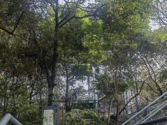 -佛山华盖山公园