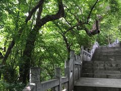 -皇藏峪国家森林公园