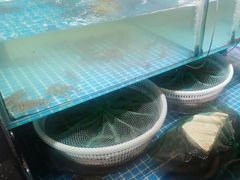 -和源祥·日照菜扛把子(万平口一店)