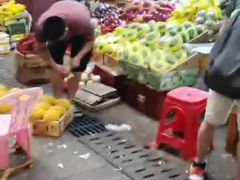 -三亚新鸿港水果一级批发市场