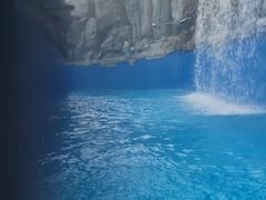 -厦门方特水上乐园