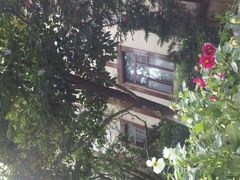 android_upload_pic-金石唐风国际温泉会馆