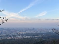-紫金山山顶公园