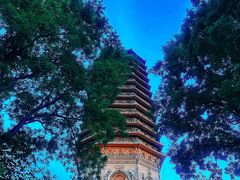 -玲珑塔公园