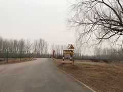 -东郊湿地公园