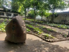 -绍兴鲁迅故里·沈园景区