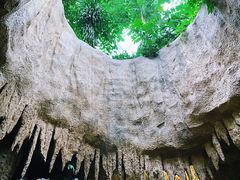 -南山植物园