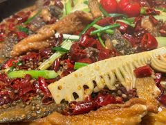 -老板恋上鱼(恒隆广场店)