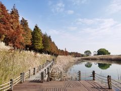 -太湖湖滨国家湿地公园-停车场