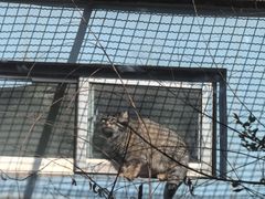 -青藏高原野生动物园