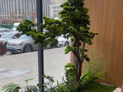 -霸王茶姬(云杉奥莱店)