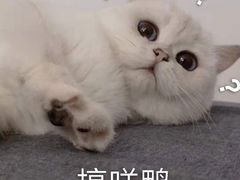 -重庆古老火锅