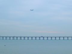 -宝安西湾红树林湿地公园