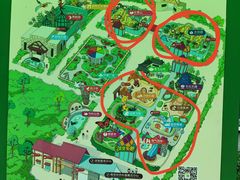 -南宫五洲植物乐园