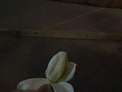 -上海世纪汇广场