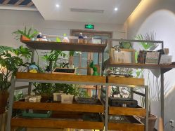 -芳香乐府SPA·五行芳疗