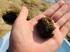 -三亚西岛海洋文化旅游区