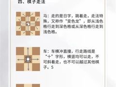 -申城国际象棋(联洋部)