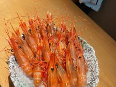 牡丹虾-京旬海鲜放题·铁板烧自助餐厅