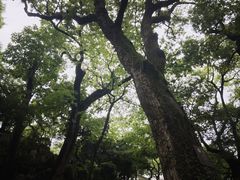 -绮园景区