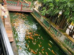 -宝墨园景区