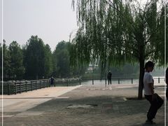 -大兴滨河森林公园