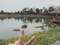 -苏州湾·王焰温泉