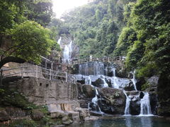 -鼎湖山风景区
