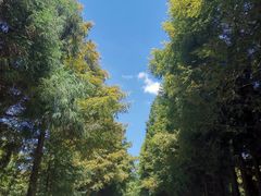 -山王坪喀斯特国家生态公园