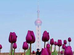 -外滩