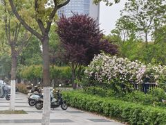 -天鹅湖体育公园