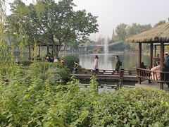 -成飞公园