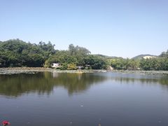 -老木棉·匠园