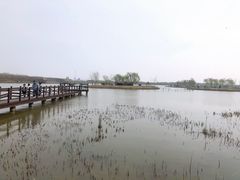 -西青郊野公园
