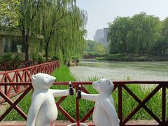 -河北省园博园